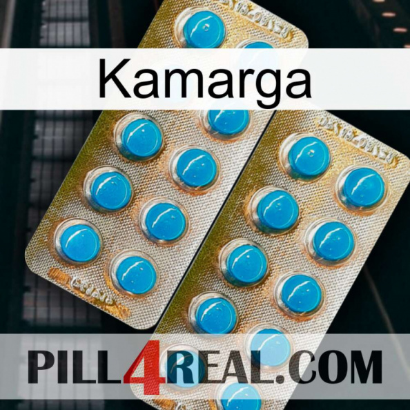 Kamarga new08.jpg